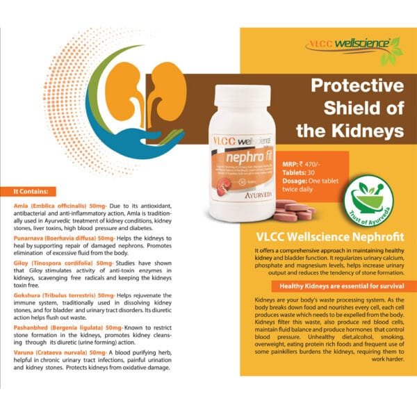 Nephro Fit - Image 2